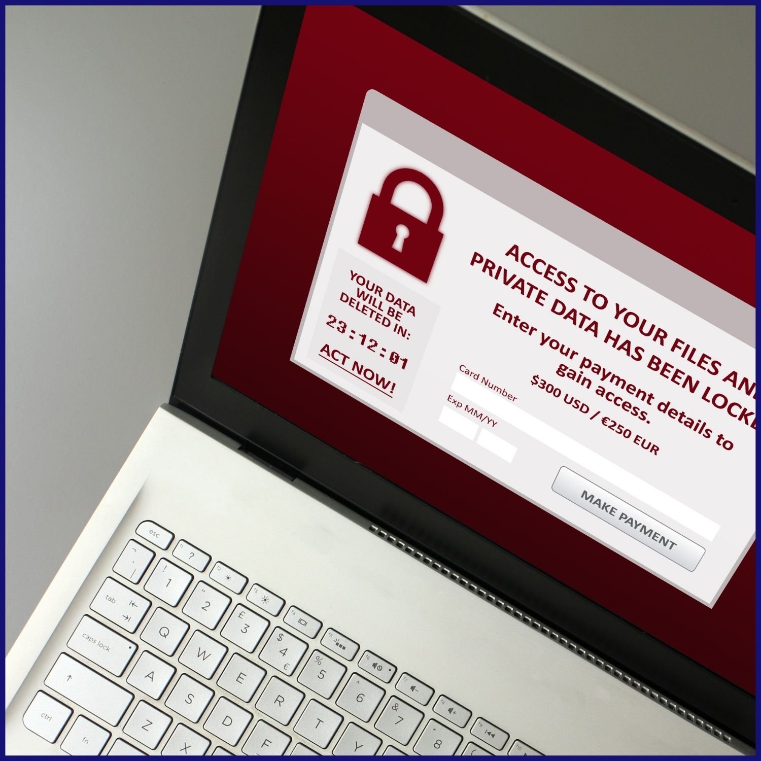 Ransomware and Malware Course