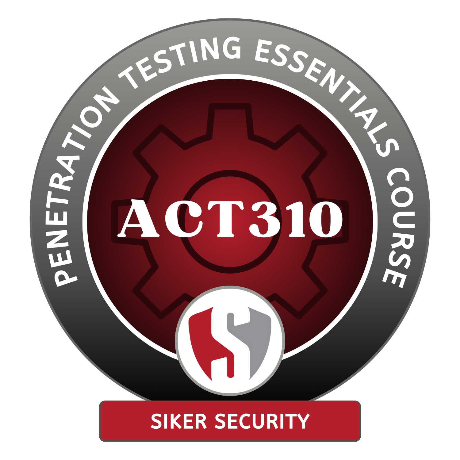 Penetration Testing Essentials